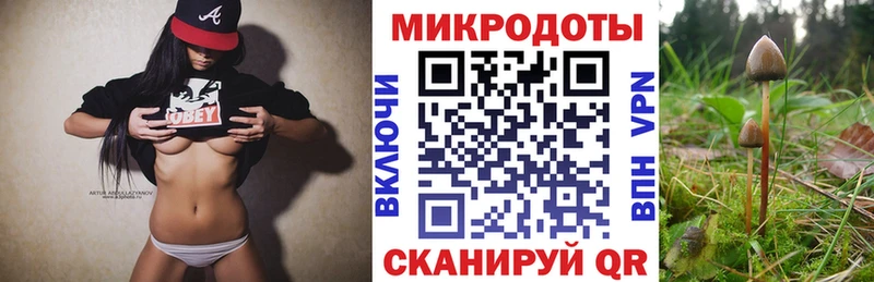 Галлюциногенные грибы MAGIC MUSHROOMS  Купить где  Никольское 